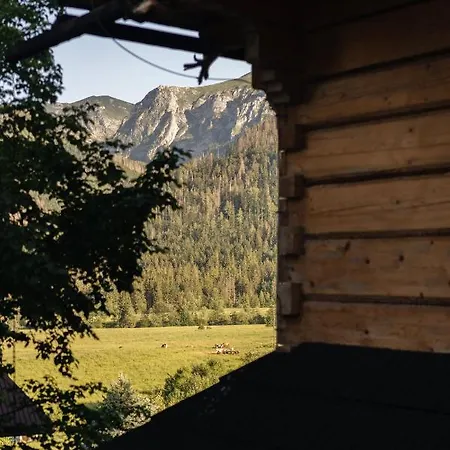 Aparthotel Podhalanskie Tarasy - Loftaffair 4*